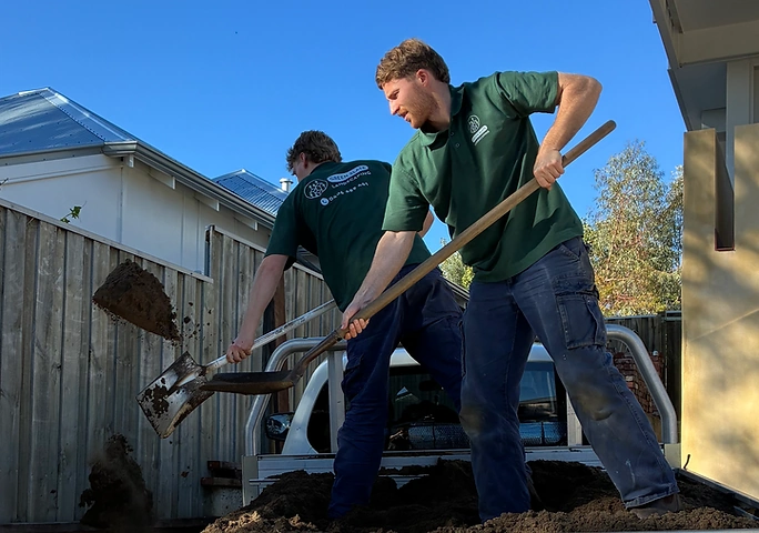 Two landscapers using shovels to prepare soil for lawn installation