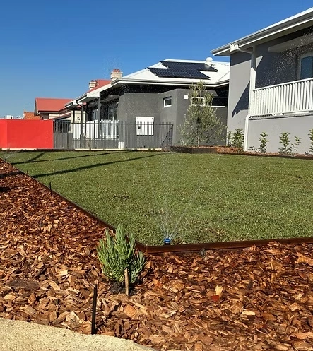 Residential front lawn with steel edging around a mulched garden bed