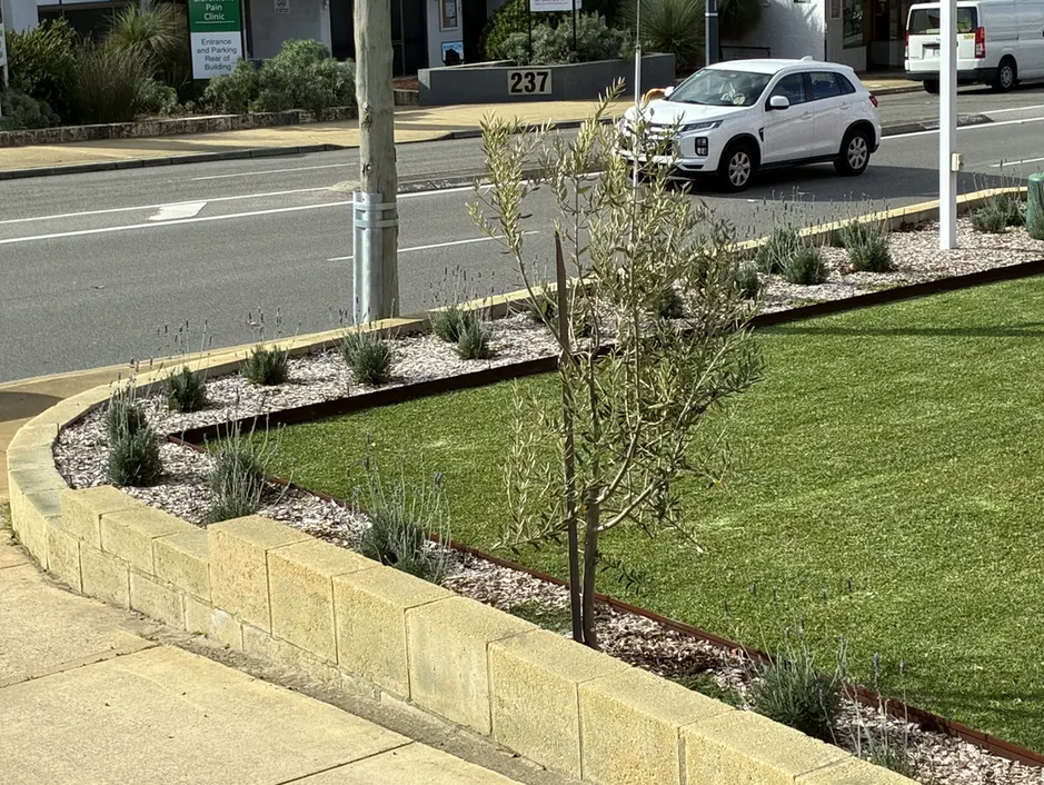 Small tree and garden plants bordering a commercial front lawn