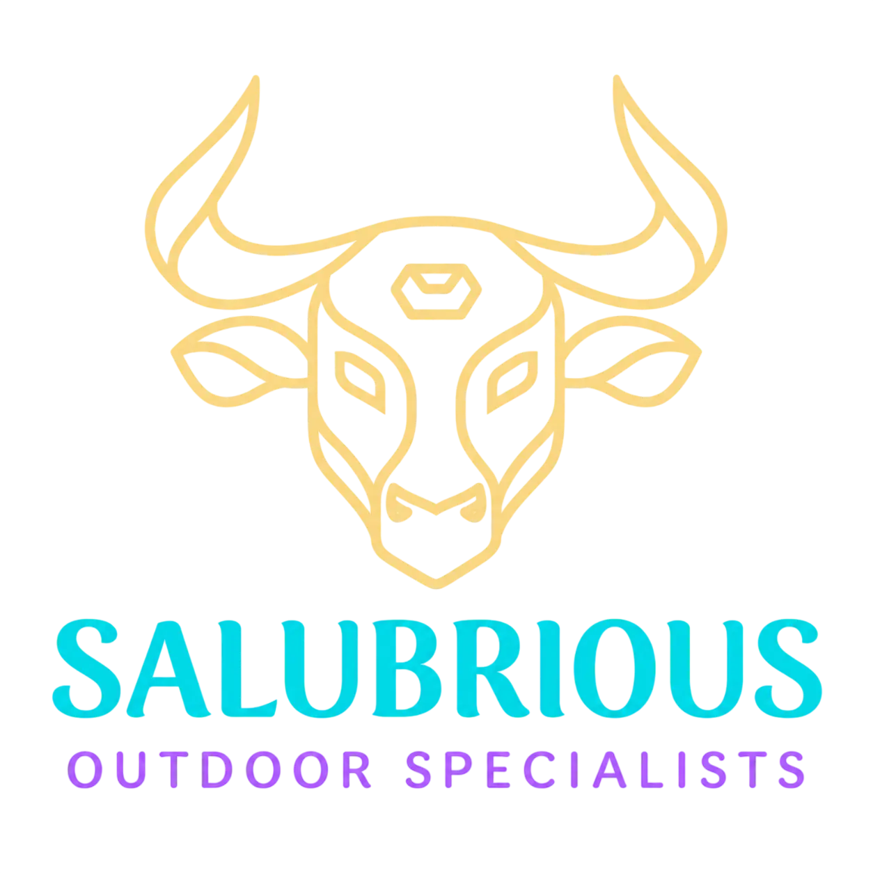 Salubrious Outdoor Specialist Logo